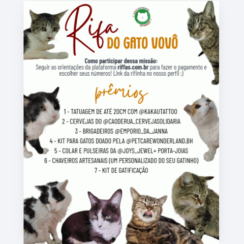 Rifa do Gato Vovô